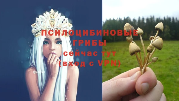 метадон Козловка