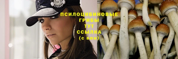 МДПВ Кодинск