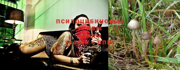 МДПВ Кодинск