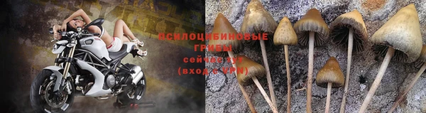метадон Козловка